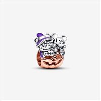 Charm Pandora Donna in Argento 782816C01